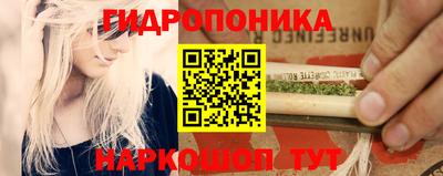 индика Ипатово
