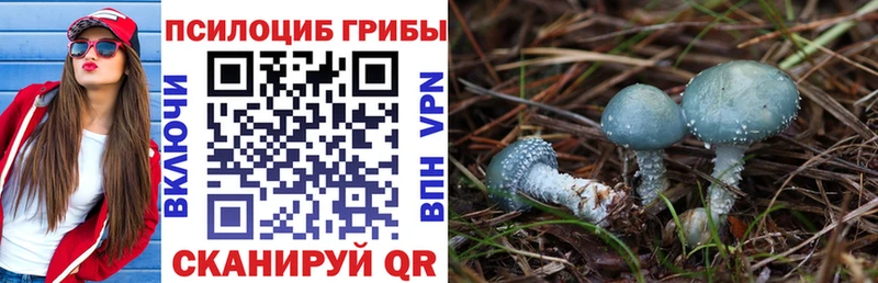 Галлюциногенные грибы ЛСД  Семилуки 