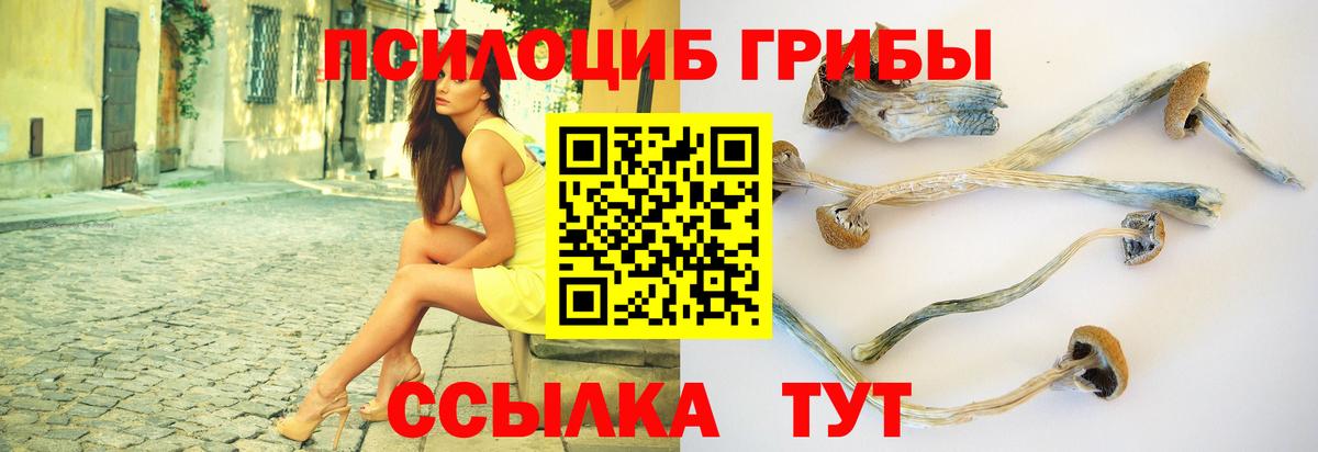 Семилуки  Галлюциногенные грибы ЛСД  Галлюциногенные грибы GOLDEN TEACHER  магазин продажи   Вход с VPN 
